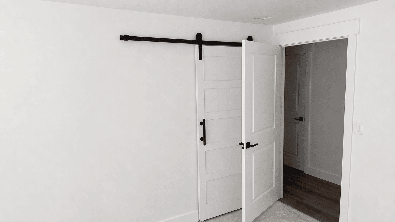 Basement bedroom and closet area with barn door